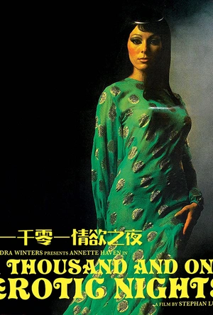 一千零一情欲之夜 A Thousand and One Erotic Nights