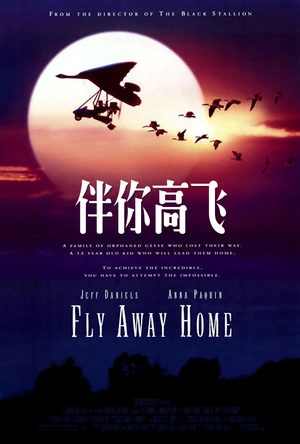 伴你高飞 Fly Away Home