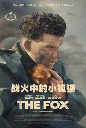 战火中的小狐狸 Der Fuchs