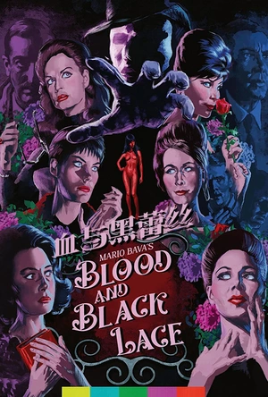 血与黑蕾丝
