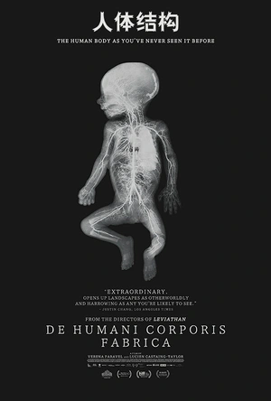 人体结构 De Humani Corporis Fabrica