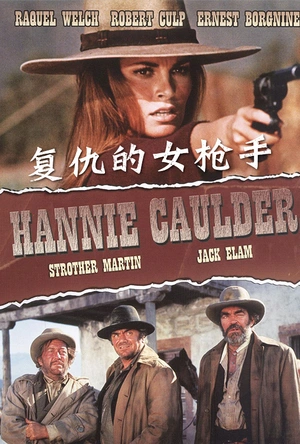 复仇的女枪手 Hannie Caulder
