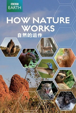 自然的运作 How Nature Works