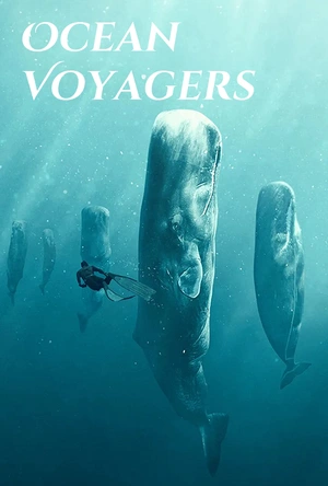 动物星球系列：鲸奇之旅 Ocean Voyagers