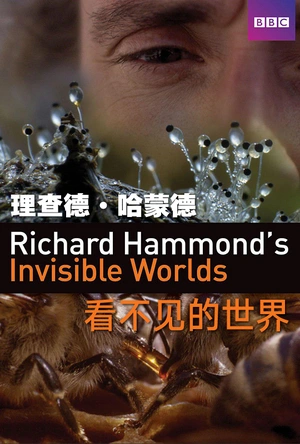 理查德·哈蒙德：看不见的世界 Richard Hammond's Invisible Worlds