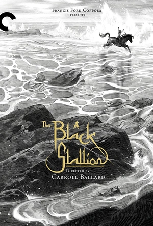 黑神驹 The Black Stallion
