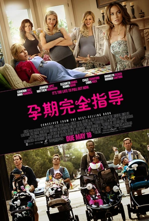 孕期完全指导 What to Expect When You're Expecting