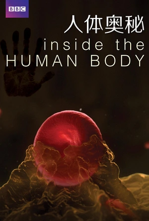 人体奥秘 Inside the Human Body
