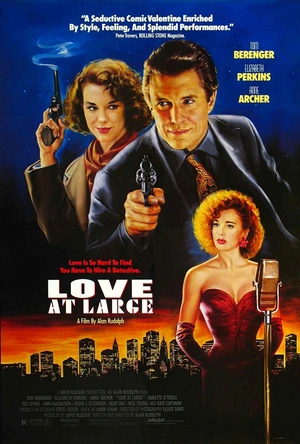 勇探豪情 Love at Large