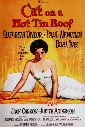 朱门巧妇 Cat on a Hot Tin Roof