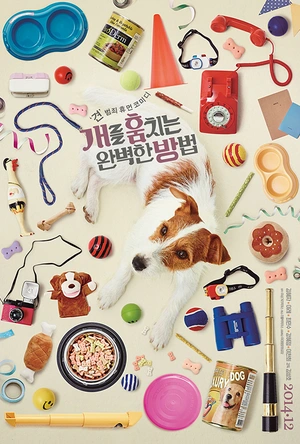 偷狗的完美方法