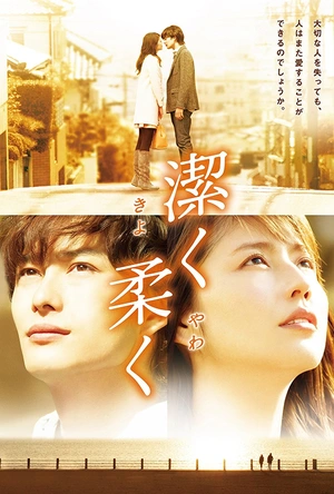 纯净脆弱的心 潔く柔く