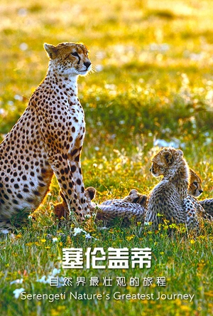 塞伦盖蒂：自然界最壮观的旅程 Serengeti: Nature's Greatest Journey