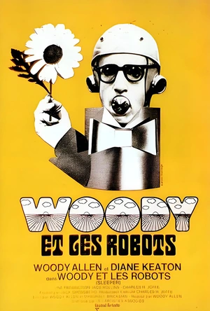 傻瓜大闹科学城 Sleeper