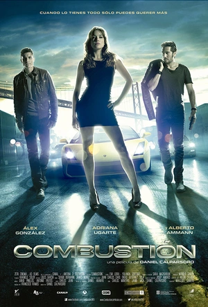 燃烧 Combustión