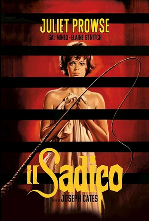 谁杀了泰迪熊 Who Killed Teddy Bear