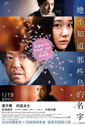 她不知道名字的那些鸟儿