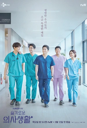 机智医生生活 슬기로운 의사생활