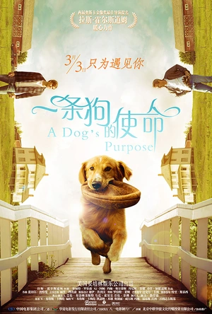 一条狗的使命