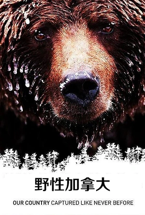 野性加拿大 Wild Canada