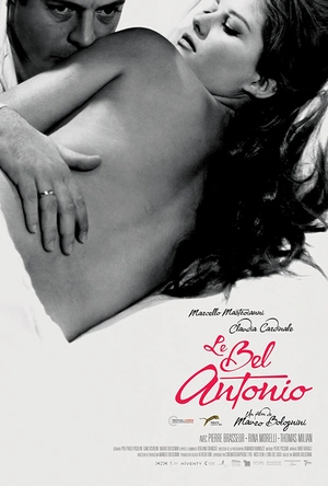 英俊的安东尼奥 Il bell'Antonio
