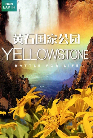 黄石公园 Yellowstone