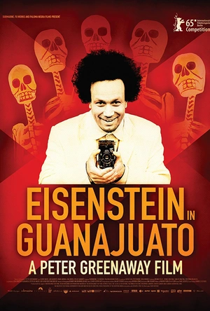 爱森斯坦在瓜纳华托