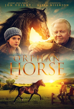 孤马 Orphan Horse