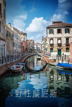 野性威尼斯 Wild Venice