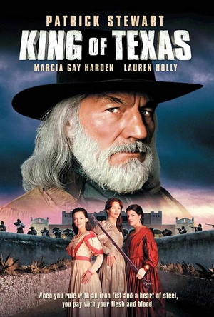 天惩无情 King of Texas