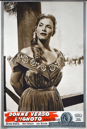 娘子军征西 Westward the Women