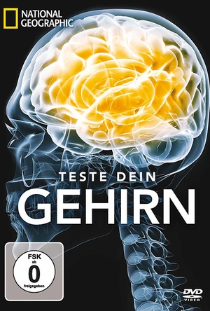 脑力大挑战 Test Your Brain