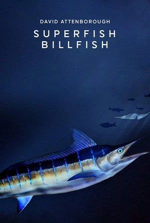 国家地理：海中闪电侠 National.Geographic.Channel.Superfish