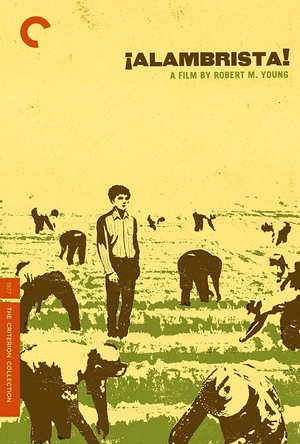 阿兰布里斯塔 Alambrista!