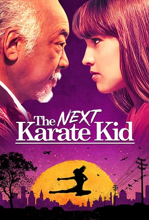 新龙威小子 The Next Karate Kid