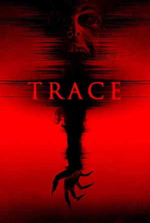 阴声来袭 Trace