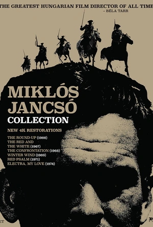 厄勒克特拉，我的爱 Szerelmem, Elektra