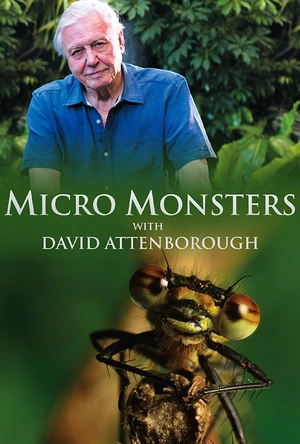 微型猛兽 Micro Monsters 3D