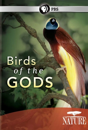 天堂鸟 Nature: Birds of the Gods