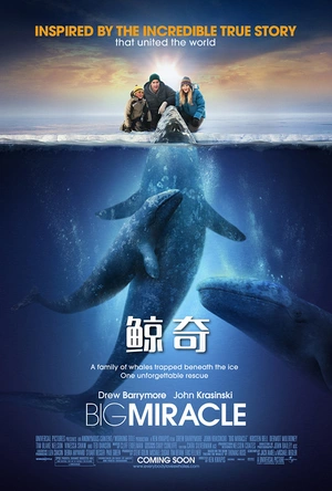 鲸奇 Big Miracle