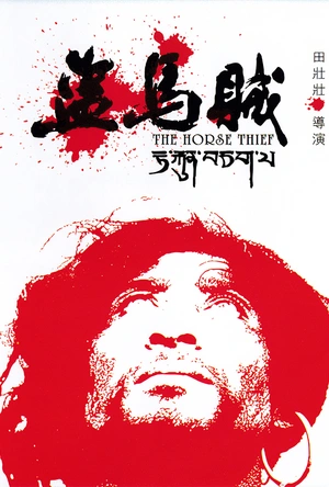 盗马贼