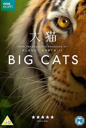 大猫 Big Cats