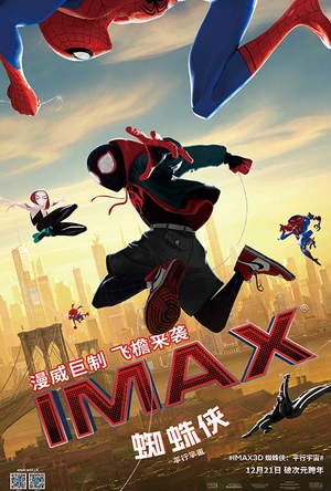 蜘蛛侠：平行宇宙