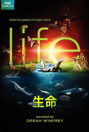 生命 Life