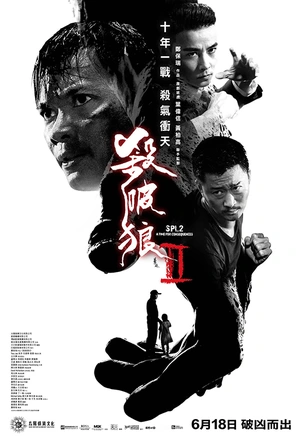 杀破狼2 殺破狼2