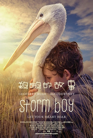鹈鹕的故事 Storm Boy