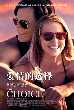 爱情的选择 The Choice
