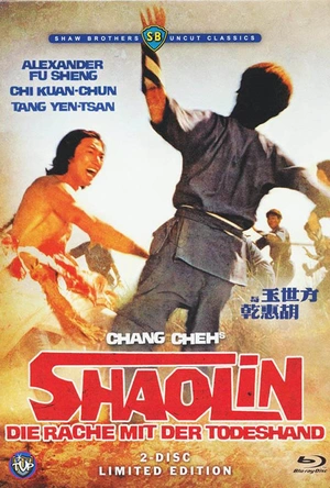 方世玉与胡惠乾 方世玉與胡惠乾