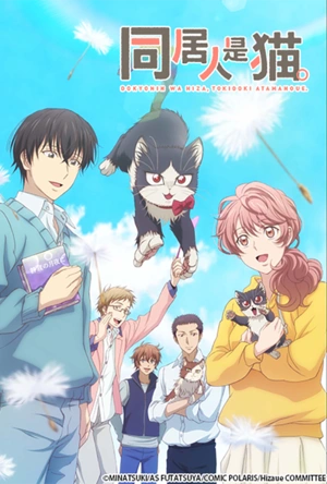 同居人是猫 同居人はひざ、時々、頭のうえ。