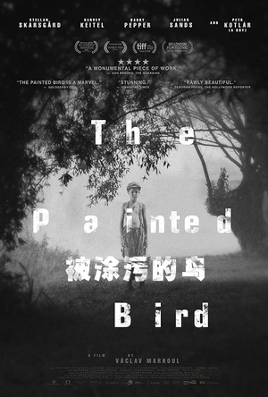 被涂污的鸟 Nabarvené ptáče